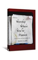 Worship Where You're Planted: A Primer for the Local Church Worship Leader(English)