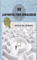 300 Labyrinthe Fuer Erwachsene Einfach Bis Extremes