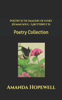 Poetry is the Imagery of Every Human Soul