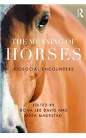 Meaning of Horses