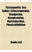 Pycnogonids