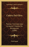 Cultivo del Olivo