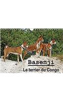 Basenji Le Terrier Du Congo 2017