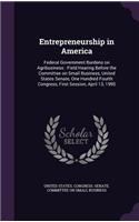 Entrepreneurship in America