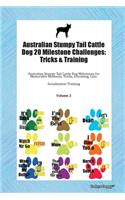 Australian Stumpy Tail Cattle Dog 20 Milestone Challenges: Tricks & Training Australian Stumpy Tail Cattle Dog Milestones for Memorable Moments, Tricks, Grooming, Care, Socialization Training Volume 2
