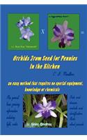 Orchids from Seed for Pennies