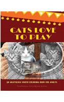 Cats Love to Play