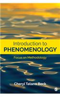 Introduction to Phenomenology