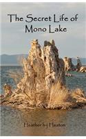 Secret Life of Mono Lake