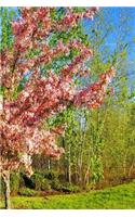 Journal Pretty Spring Flowering Tree: (Notebook, Diary, Blank Book)