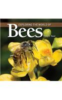 Exploring the World of Bees