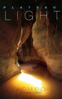 Plateau Light