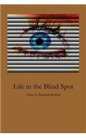 Life in the Blind Spot