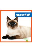 Siamese