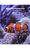 Beautiful Marine Life Full-Color Picture Book