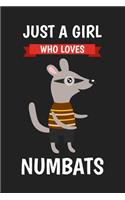 Just A Girl Who Loves Numbats