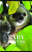 Baby Sloths Monthly Note Planner 2019 1 Year Calendar