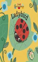 Tales From Nature: Ladybird