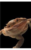 Bearded Dragon Notebook