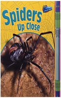Raintree Perspectives: Minibeasts Up Close