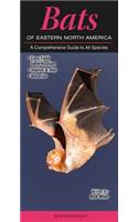 Bats of Eastern North America