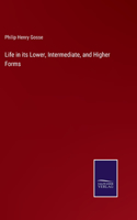 Life in its Lower, Intermediate, and Higher Forms