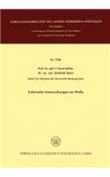 Kalorische Untersuchungen an Wolle