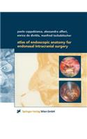 Atlas of Endoscopic Anatomy for Endonasal Intracranial Surgery