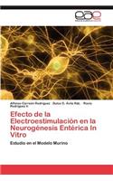 Efecto de la Electroestimulación en la Neurogénesis Entérica In Vitro