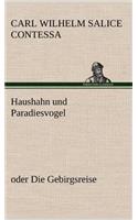 Haushahn Und Paradiesvogel