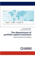 The determinants of portfolio capital investment