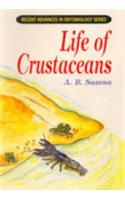 Life Of Crustaceans