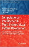 Computational Intelligence in Multi-Feature Visual Pattern Recognition