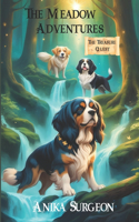 The Meadow Adventures: The Treasure Quest