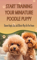 Start Training Your Miniature Poodle Puppy