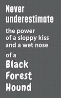 Never underestimate the power of a sloppy kiss and a wet nose of a Black Forest Hound: For Black Forest Hound Dog Fans