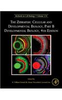 Zebrafish: Cellular and Developmental Biology, Part B Developmental Biology