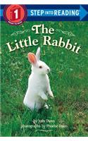 The Little Rabbit: (Step Into Reading)