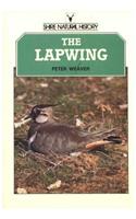 The Lapwing