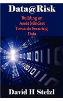 Data@risk: Building an Asset Mindset Towards Securing Data