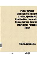 Penis: Vorhaut, Zirkumzision, Phimose, Erektion, Ejakulation, Penisruptur, Potenzmittel, Schwellkorper, Harnrohre, Induratio