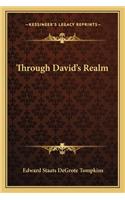 Through David's Realm