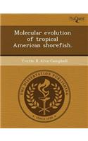 Molecular Evolution of Tropical American Shorefish