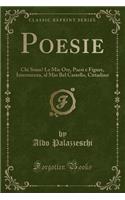 Poesie: Chi Sono? Le Mie Ore, Paesi e Figure, Intermezzo, al Mio Bel Castello, Cittadino (Classic Reprint)