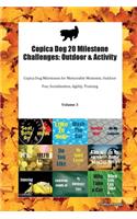 Copica Dog 20 Milestone Challenges: Outdoor & Activity Copica Dog Milestones for Memorable Moments, Outdoor Fun, Socialization, Agility, Training Volume 3