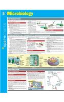 Microbiology Sparkcharts