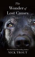 Wonder of Lost Causes