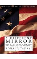 A Different Mirror