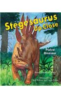 Stegosaurus Up Close