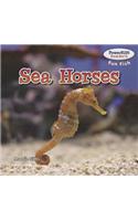 Sea Horses